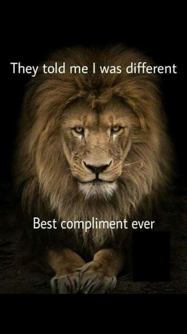 a lion with the caption, they told me i was different best compliment ever leo