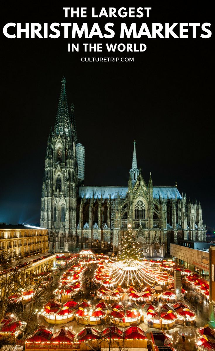 a large cathedral lit up at night with christmas lights