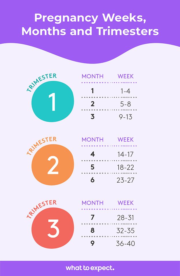 the baby's schedule for each month is shown in purple, orange and blue