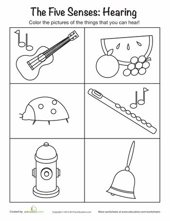 the five sensess coloring page for children to learn how to play guitar and sing