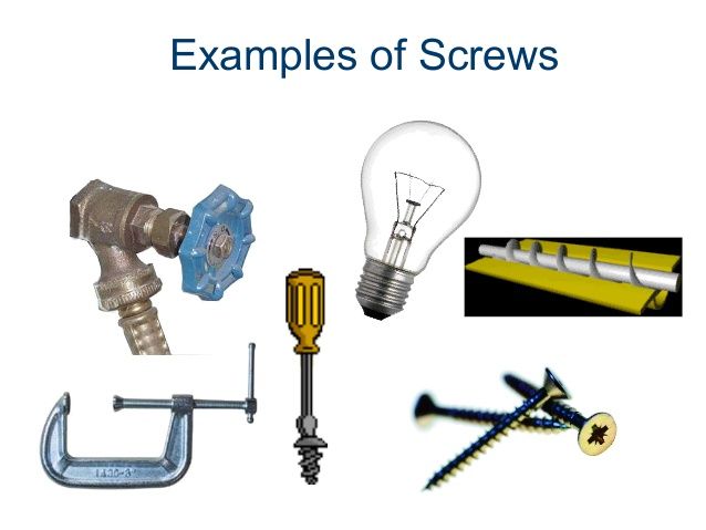 several different types of screws are shown in this slide show examples of screws