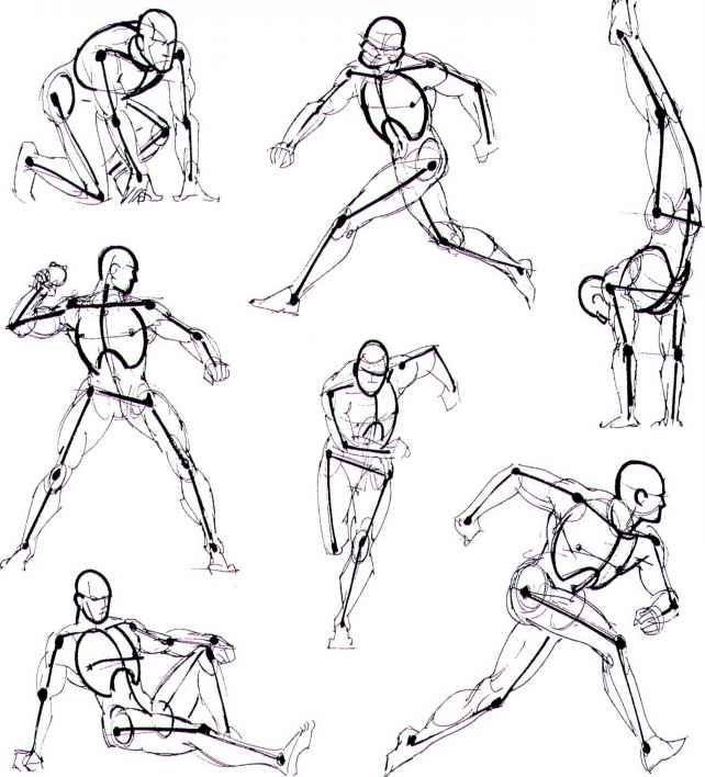 various poses for the body to be drawn