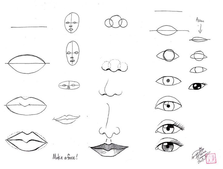 a drawing of different types of eyes