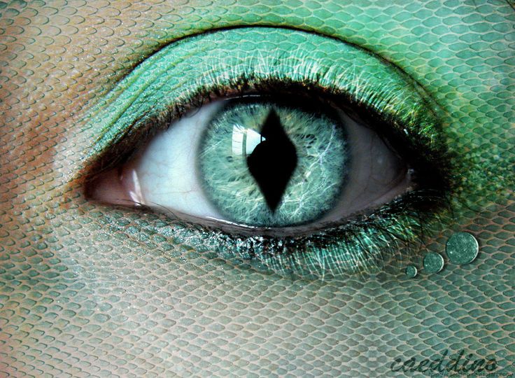 the mermaid's eye Mermaid Eyes, Eye Contact Lenses, Halloween Contact Lenses, Catty Noir, Mermaid Tale, Crazy Eyes, Look Into My Eyes, Mermaids And Mermen, Halloween Make Up