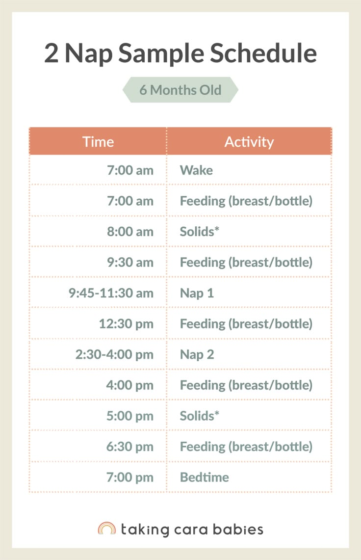 6 Month Old Sleep Schedule | 6 month old sleep, Baby schedule, Baby ...