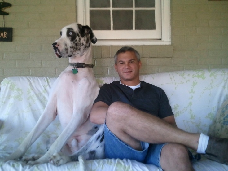 a man sitting on a couch next to a large white and black dog in front of a window