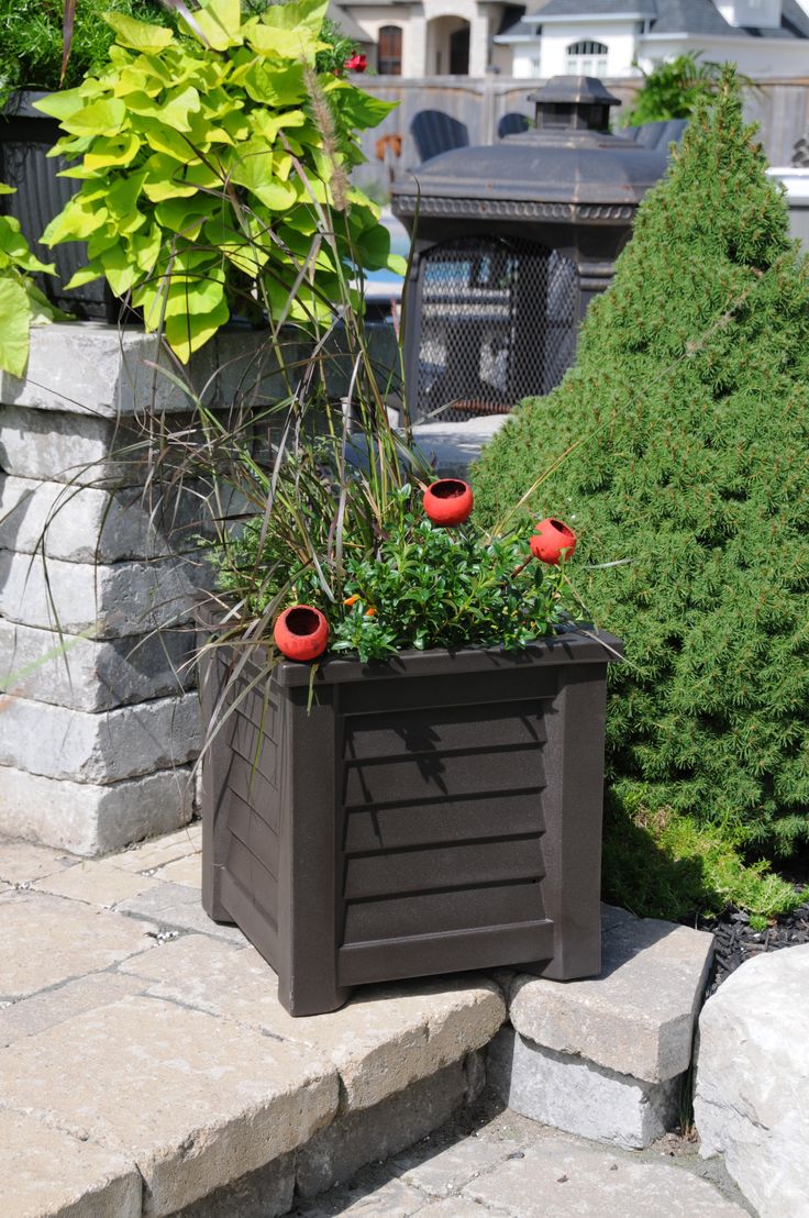 there is a planter with red flowers in it