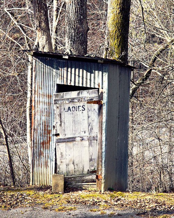 an outhouse in the woods with trees around it