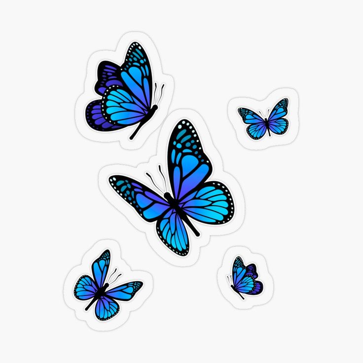 blue butterflies flying in the sky on a white background stickers are also available as decals