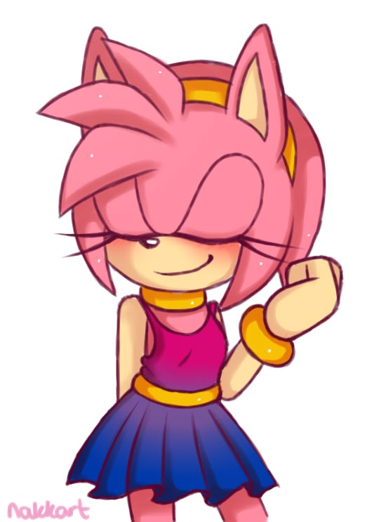 Nakkart | Amy rose, Amy the hedgehog, Sonic and amy