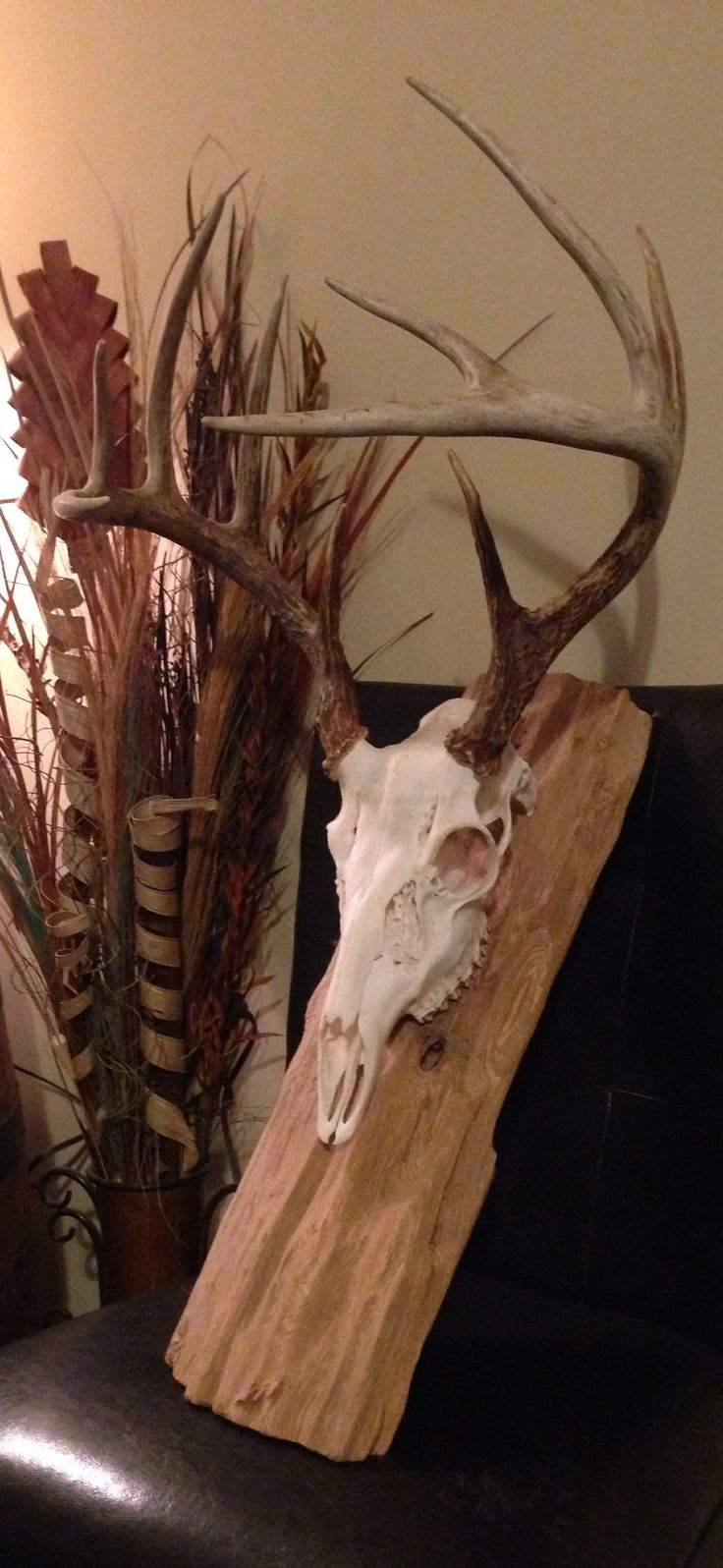 a deer's head is mounted on a piece of wood next to some plants