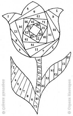 a drawing of a rose that has been drawn in the shape of a flower with numbers on it