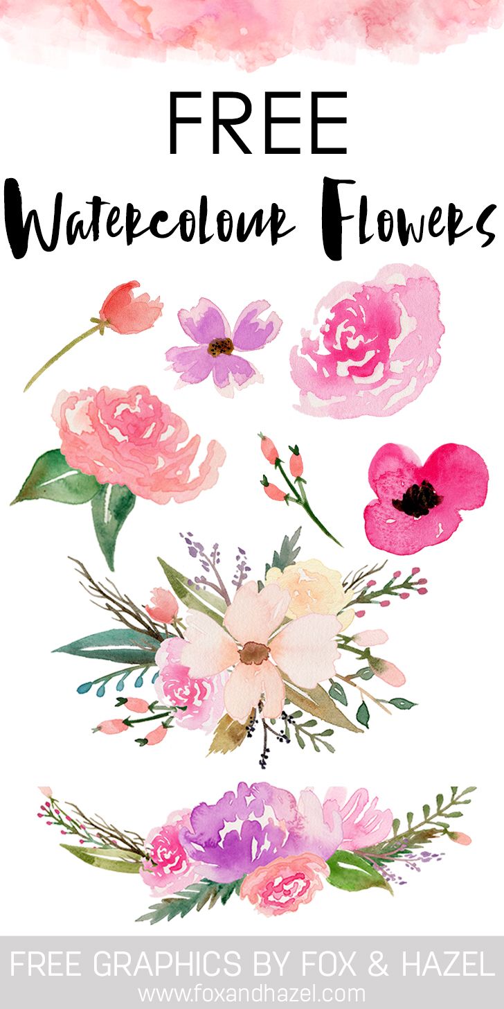 watercolor flowers with text that reads free printable flower clip art