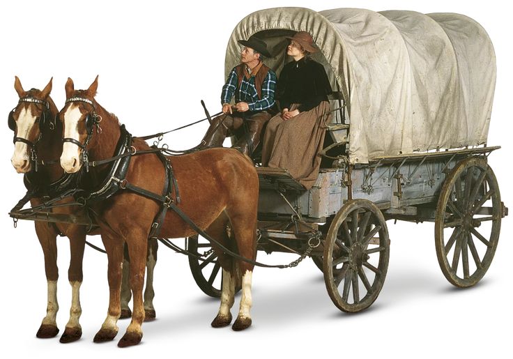 two people sitting in a covered wagon being pulled by two clydesdale horses on a white background