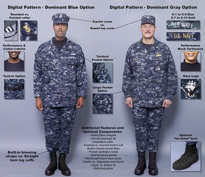 Navy Dress Uniforms, Navy Clothes, Navy Chief Petty Officer, Battle Dress, Us Navy Seals, Chief Petty Officer, Navy Chief, Navy Life, Navy Uniforms