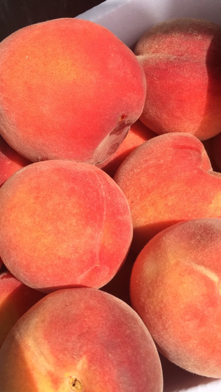 a bunch of peaches sitting in a white bowl