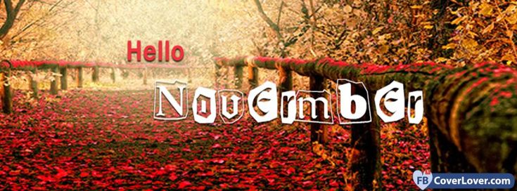 an autumn scene with the words hello november