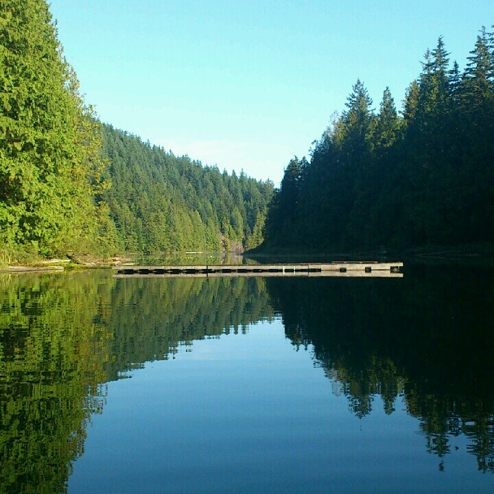 a body of water surrounded by trees and a wooden dock in the middle of it