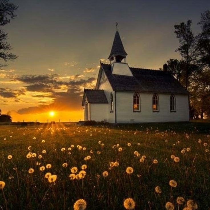 the sun is setting over a church with dandelions growing in front of it