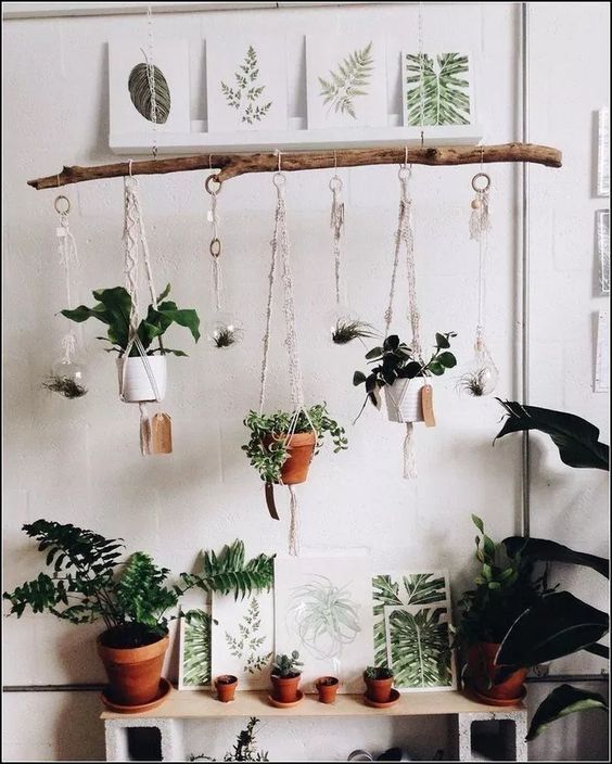 Hanging plant ideas in 2020 Hanging plants indoor, Bedroom plants