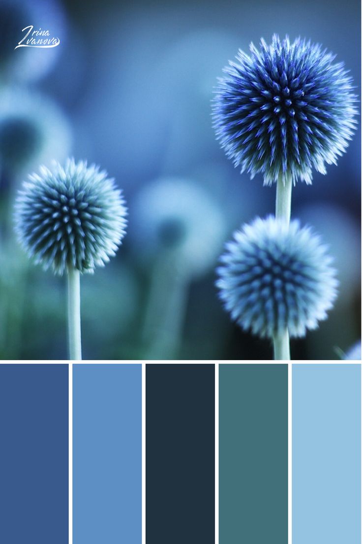 Color palette combinations design Color palette