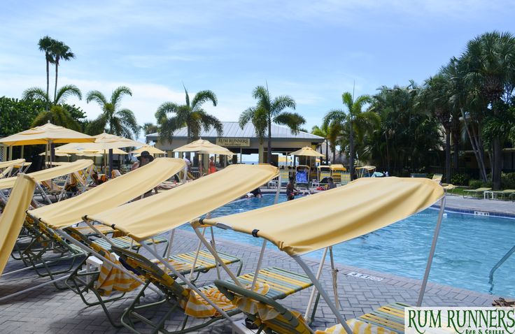 yellow beach chairs and umbrellas line the edge of a swimming pool