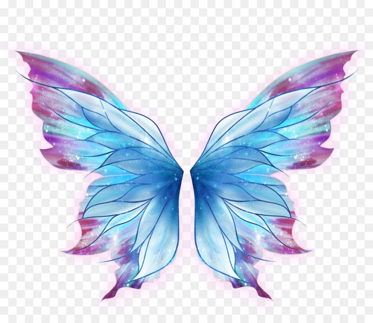 a blue and pink butterfly wings on a white background