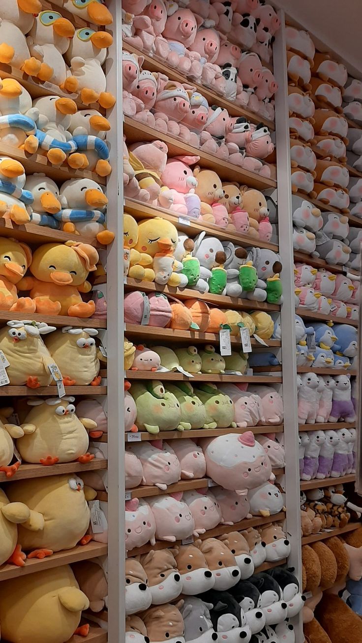 many different colored stuffed animals are on display in a store with shelves full of them