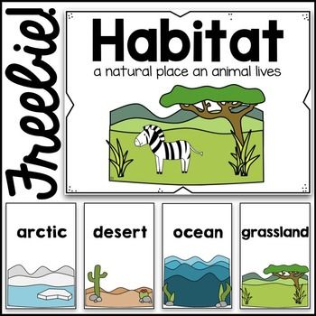 an animal themed poster with the words habitat in different colors and font, along with pictures of