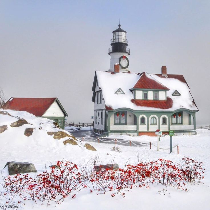 a lighthouse in the middle of winter with snow on the ground and bushes around it