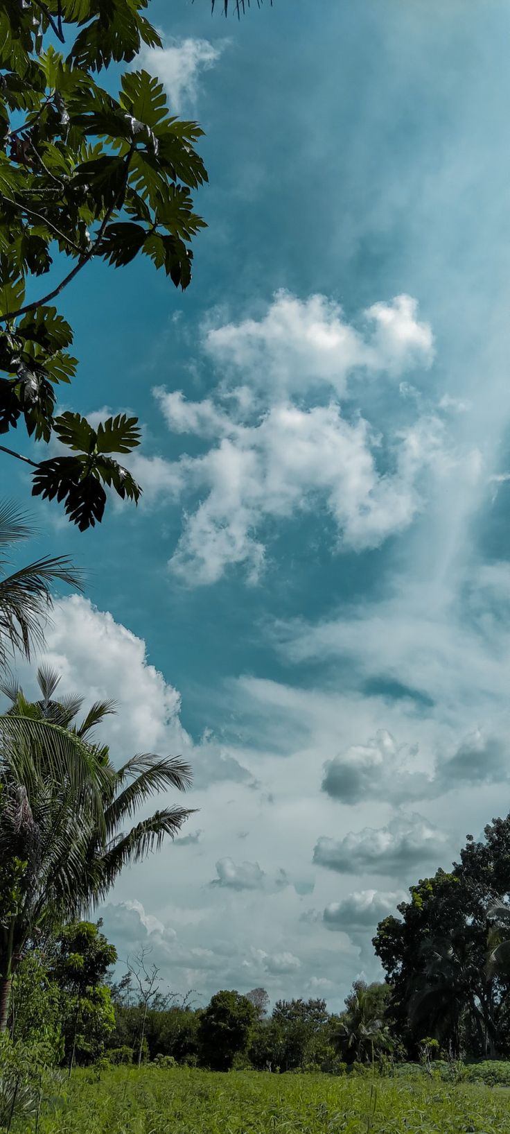 the sky is filled with clouds and trees