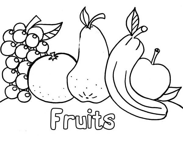 Fresh Fruit Coloring Page - NetArt | Fruit coloring pages, Coloring ...