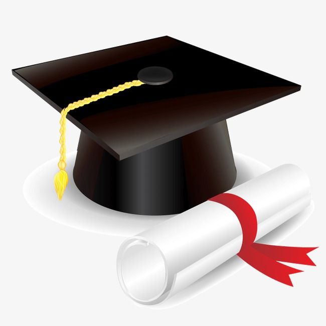 Bachelor Of Cap Decoration Vector Cap Vector Decoration Vector Graduation Png Transparent Clipart Image And Psd File For Free Download Diploma Design Cap Decorations Graphic Design Background Templates