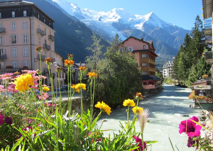 flowers are blooming in the foreground and buildings on the other side with snow capped mountains in the background