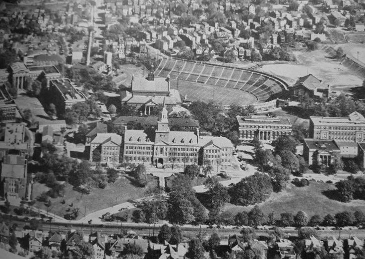 an aerial view of a city with many buildings and lots of trees in the foreground