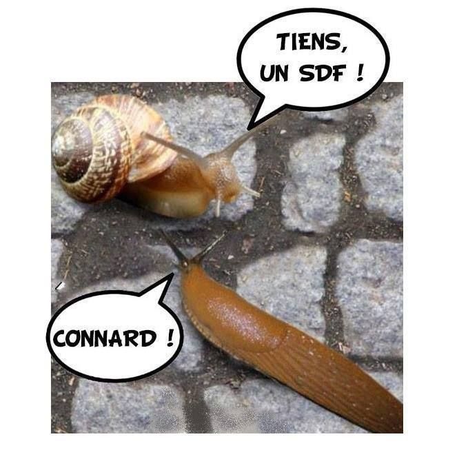 a snail and a slug on cobblestones with speech bubbles above them that say, tens, un sdf