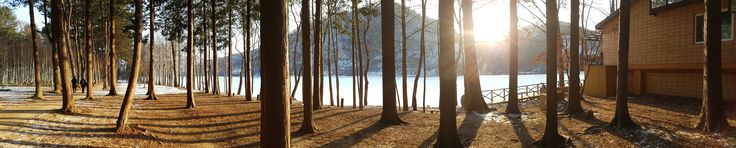 the sun is shining through the trees in the woods