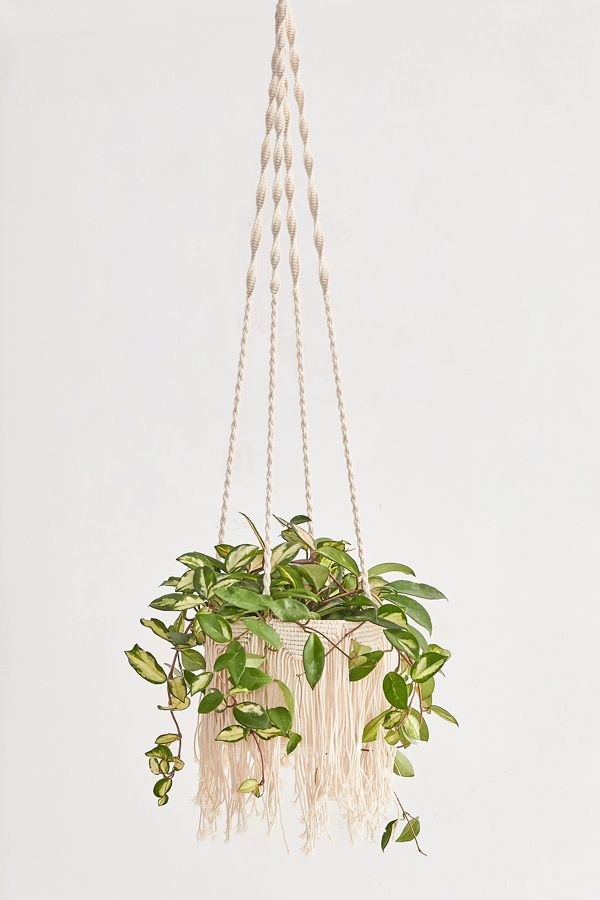 https www urbanoutfitters com terrariums indoor planters hanging macrame planter plants full sun