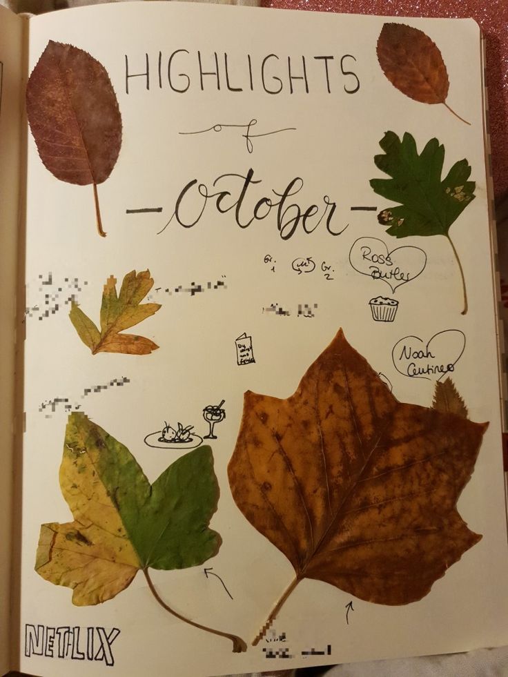 an open book with pictures of leaves and words written on it that read, highlights of october