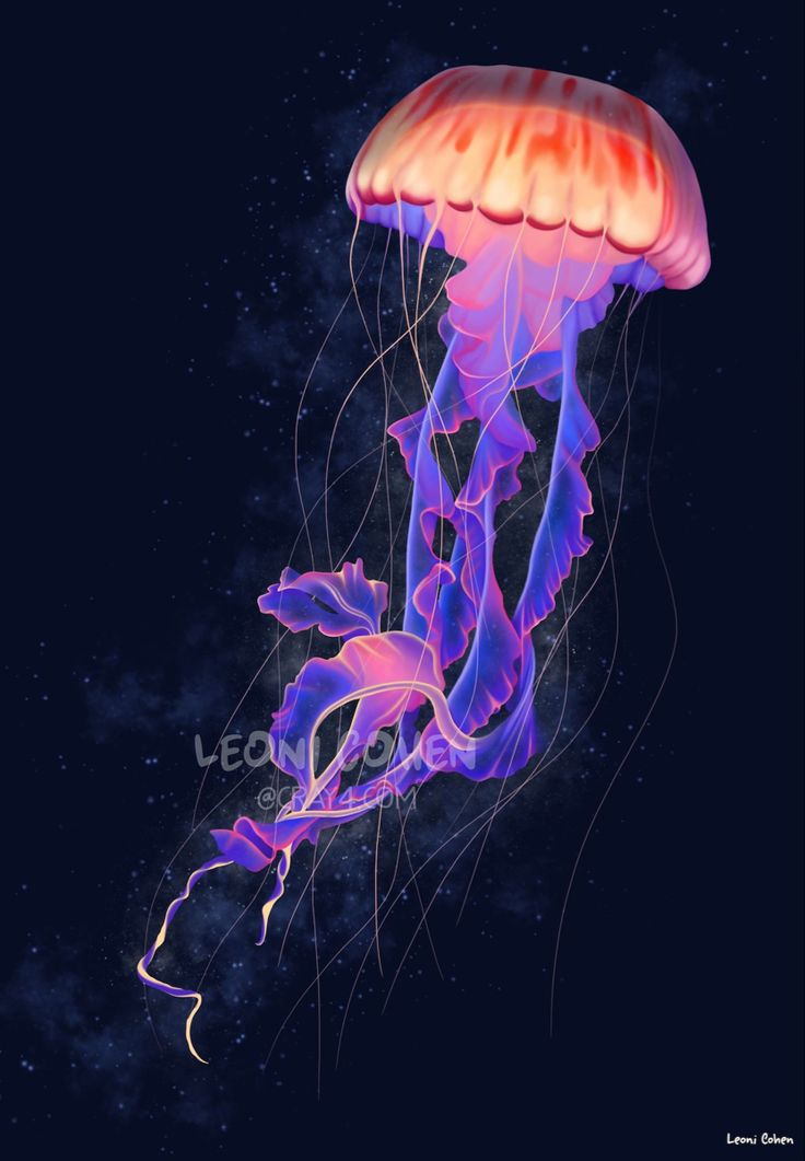 a purple jellyfish floating in the ocean