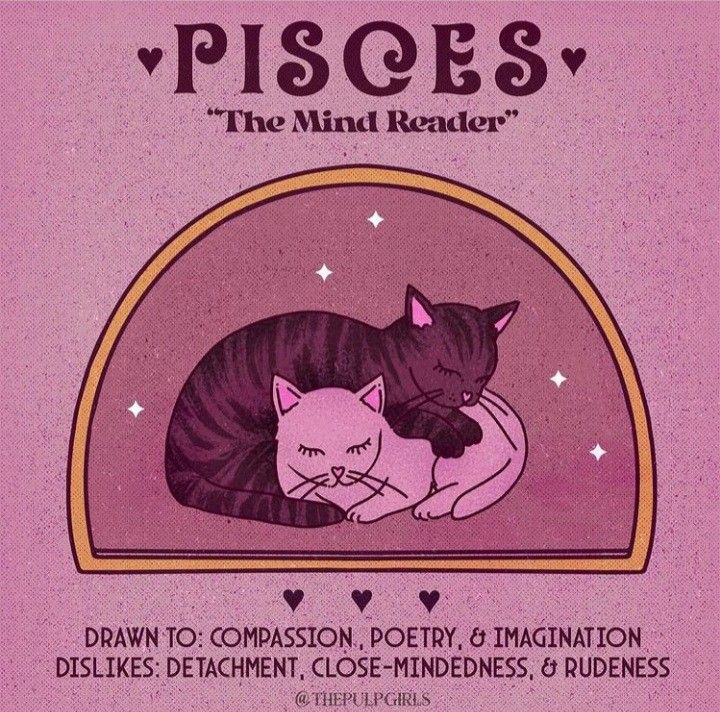 a poster for pisces the mind reader featuring two cats sleeping on top of each other