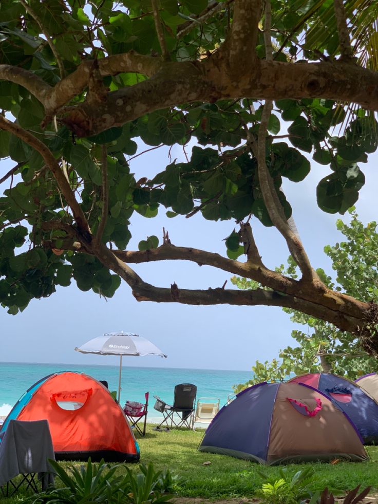 several tents are set up on the grass by the beach