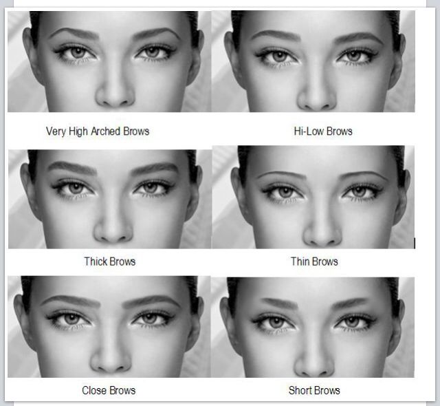 Great brow examples Different Eyebrow Shapes, Types Of Eyebrows, Permanente Make-up, Membentuk Alis, Bentuk Alis, Makeup Tips For Older Women, Thick Brows, Doe Eyes, Best Eyebrow Products