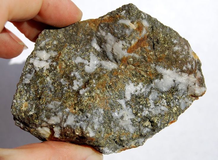 a hand holding a rock with white and brown flecks on it's surface