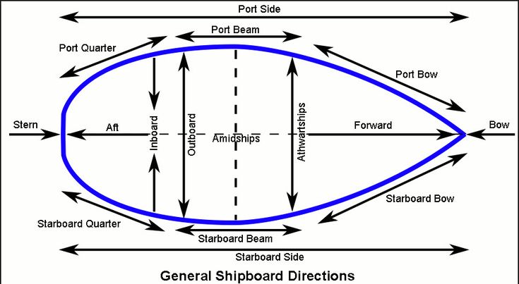 an eye diagram with arrows pointing to the different areas in which you can see it