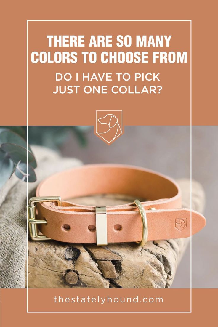 there are so many colors to choose from do i have to pick just one collar?