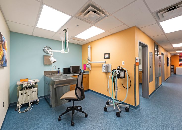 an office with blue carpet and yellow walls, two medical equipment on wheels in the foreground