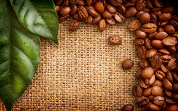 coffee beans and green leaves on burlocked fabric with place for your text