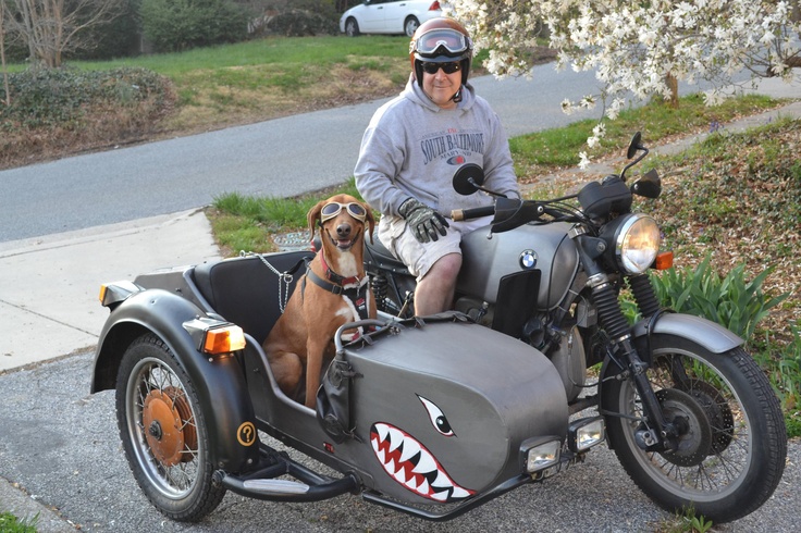 a man on a motorcycle with a dog sitting in the sidecar next to him