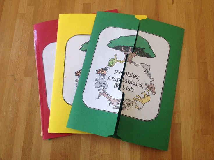 the lazy way and easy to do lapbooks are great for kids who love to read